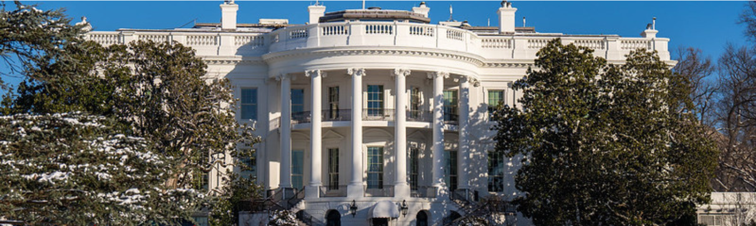 The South Grounds and the White House